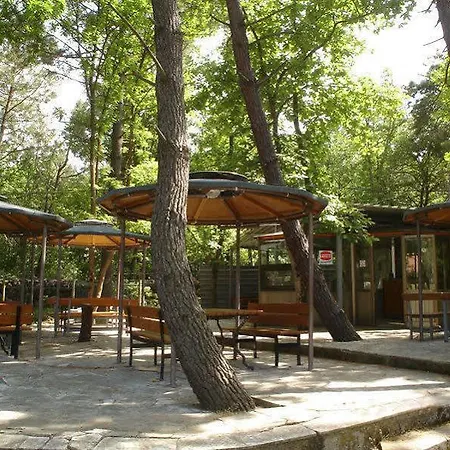 Hotel Svetlina 2*